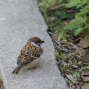 鉄道を知ろう・考えよう