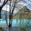 岩の目公園の水没林（秋田県仙北市）