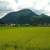 湯布院〜別府