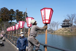 ぼんぼり並び観桜会ムード　上越市の高田城址公園で設置作業進む　開幕は4月3日