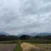 2022/04/14 木曜日　久しぶりの雨