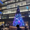Blooming Lights！-二子玉川ライズ- / Art&Architecture＃505