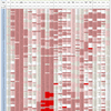 新型コロナウイルス、国別・人口あたり新規感染者数（11月 3日現在） /  COVID-19 cases per population by country, as of November 3