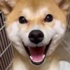 エスパルスの23番の伝説はこれから