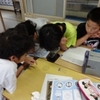５年生：理科　メダカの卵を顕微鏡で見る