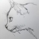 明日書くブログ