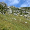 木曽駒ケ岳登山　③