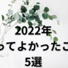 2022年 やってよかったこと 5選