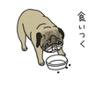 食事改革①