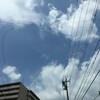 夏休み！