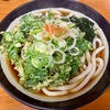釜家（白山）春菊天うどん