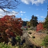 根来山の紅葉