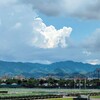 小倉競馬場12・13回目