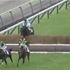 8.21  新潟競馬　注目馬