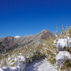 雪解けとハコネザサをくぐって～明神ヶ岳・明星ヶ岳