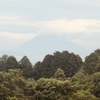 今朝の景色
