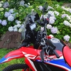 秩父へ(3) あじさいの道