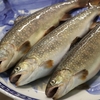 肴の川魚料理【岩魚燻製】