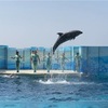 新江ノ島水族館に行ってきました