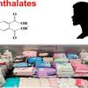 『フタル酸パンデミック！~その一：点滴チューブの落とし穴』