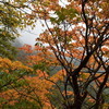 tochikoな山登り　弥山へ