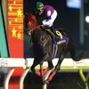 ノンコノユメがジャパンダートダービー完勝  白毛馬ブチコの姉ユキチャンの仔シロインジャーがデビュー間近