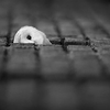 日本を貶めようとする人々　まとめ（１）