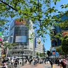森の癒し　東京講演会シンポジウム（記録・再掲載）