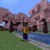【マイクラ】〔整備〕川原の桜道