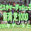 【アイビスSD 2021】過去10年データと予想