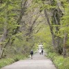 戸隠の風景