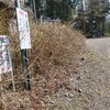 【登山日記】宝山（大分百山）　大分県玖珠町