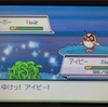 【1/8,192の確率？】ハートゴールドにて色違いポケモンに自然遭遇した話【2回目】