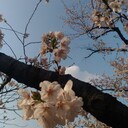 『断捨離ズム』の家事/育児分担マニュアル