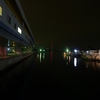 横浜メバリング　～夜釣り～
