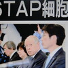 ＳＴＡＰ細胞　騒動