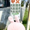 日本では逮捕だけどタイではOKの”大麻”はチェンマイの街でもいっぱいある💦