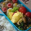 自家製しゅうまい弁当