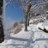 ◆'21/01/05    大山公園～八森山～高館山②