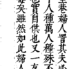 中国古籍デジタル化の一面