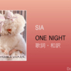 【歌詞・和訳】Sia / One Night