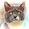 猛威を振るうオミクロン株、、、