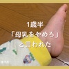 1歳半健診で母乳やめるよう言われたけどやめません