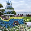 【みなとみらい 春のおすすめスポット】横浜公園～山下公園～大さん橋