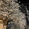 初雪