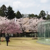 【続】桜咲く、街をあるけば「金沢２１世紀美術館」