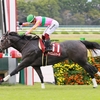 競馬初心者必見☆馬券予想🔥〜セントウルS〜セントメモリーズ世代の1頭に期待！