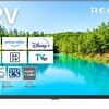 【32V型・2024年モデル】REGZA 32V35N｜AirPlay・ネット動画対応のちょうどいいスマート液晶【ハイビジョン/ゲームモード】