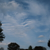 東京の空 木場公園