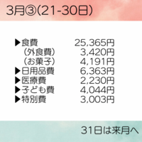家計簿⋆*３月③ 21-31日